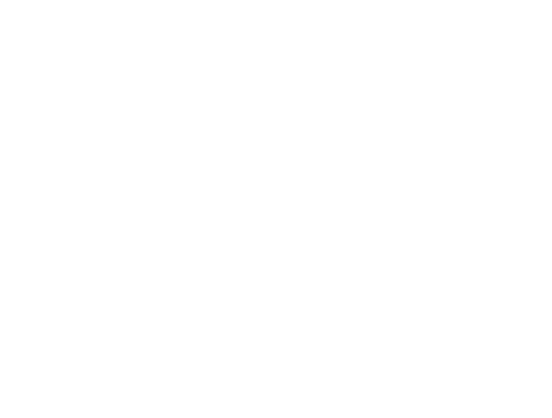 Github en primer plano